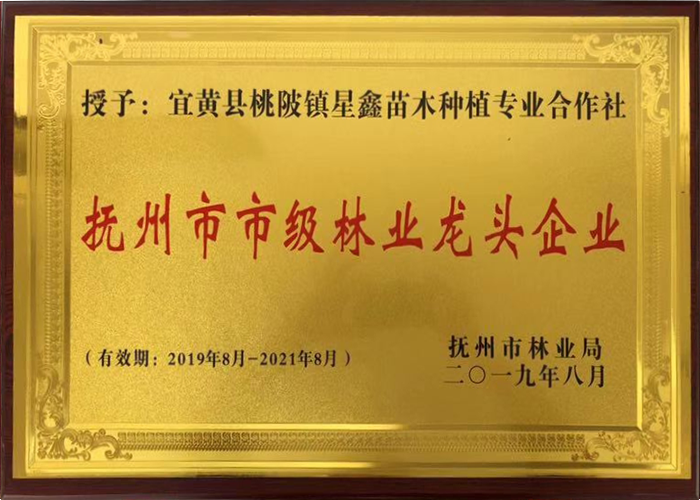 市級(jí)龍頭企業(yè)
